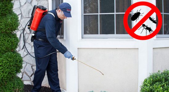 Eğil Akrep İlaçlama böcek ilaçlama ve haşere kontrolü — ilaclama-tr.com